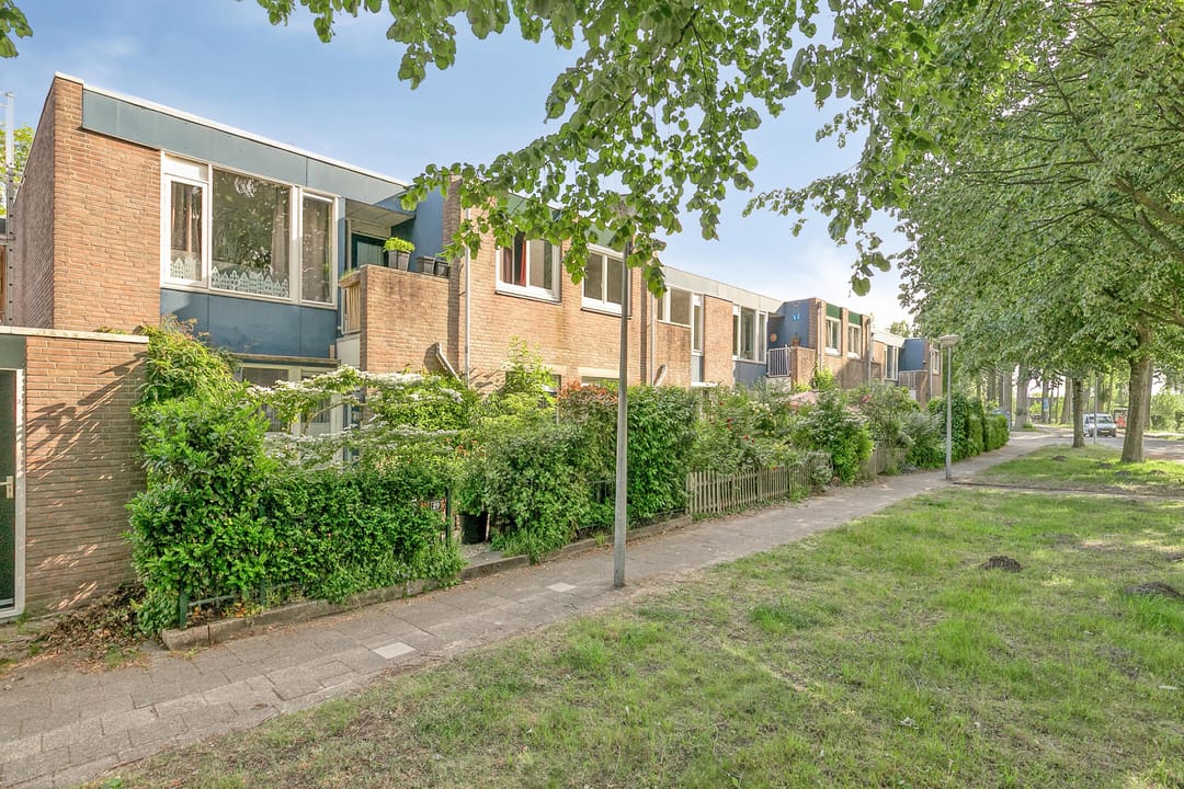 Photo 23 of Vrije Geer 21