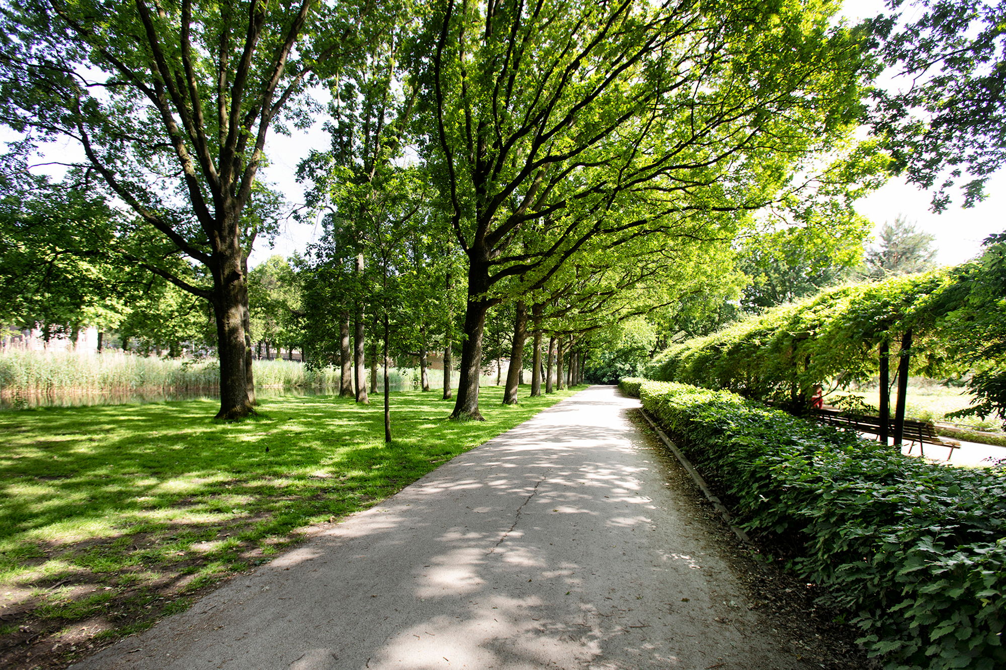 Photo 27 of Joos Banckersweg 20-4