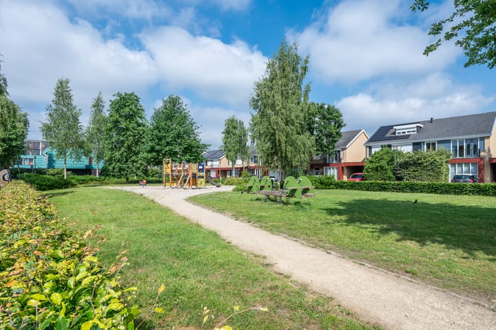 Foto 45 van Graslelie 46