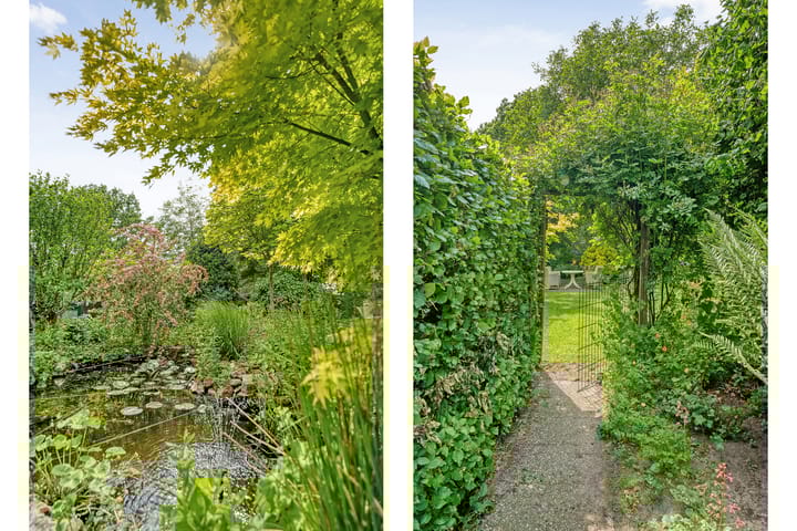 Foto 46 van de Deel 54