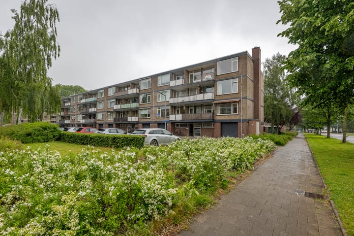 Foto 2 van Drijfhoutstraat 5