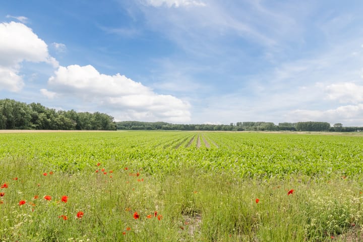 Foto 31 van Vermeerplein 9