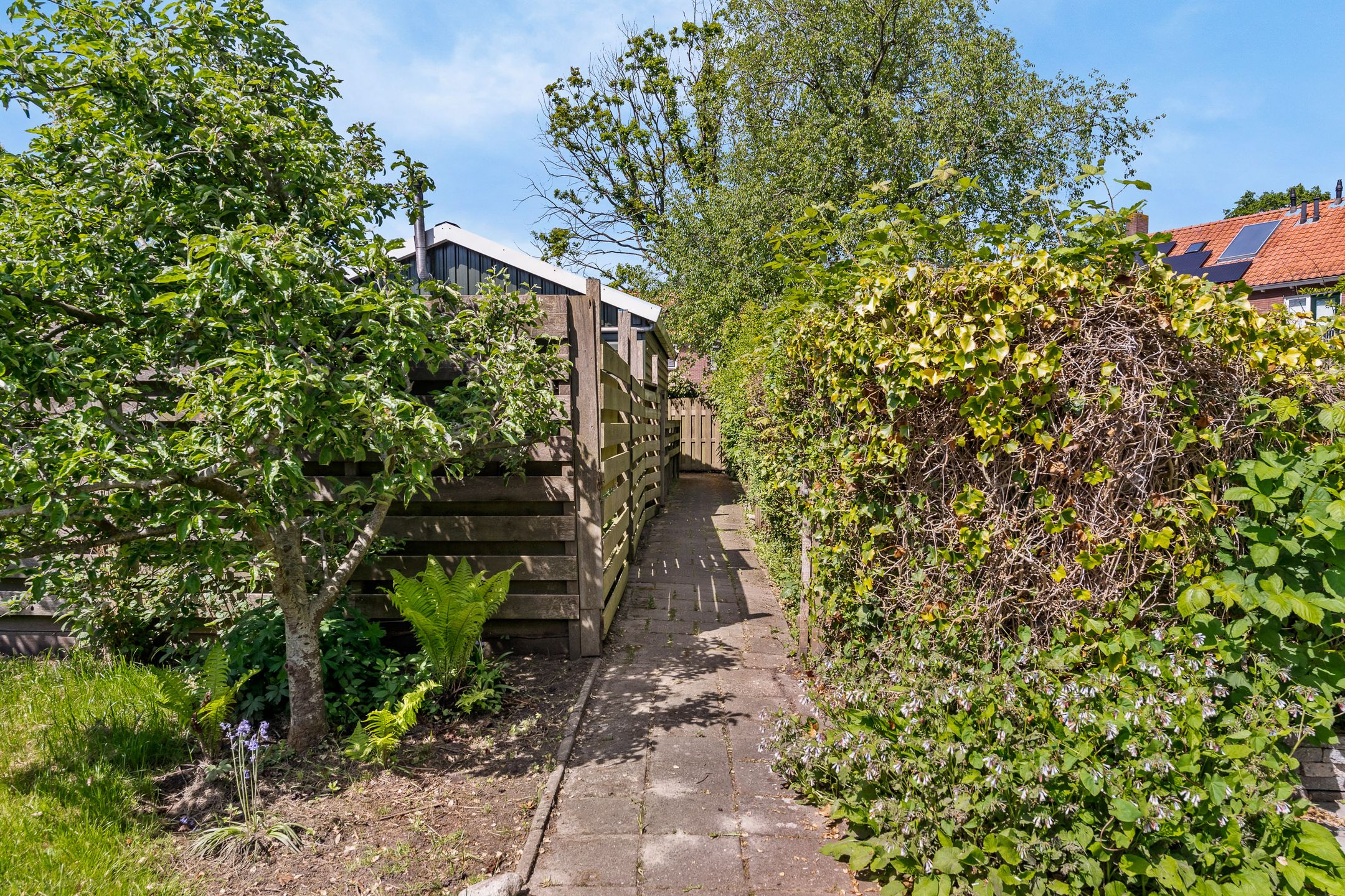 Foto 21 van Jan Nooitgedagtstraat 31