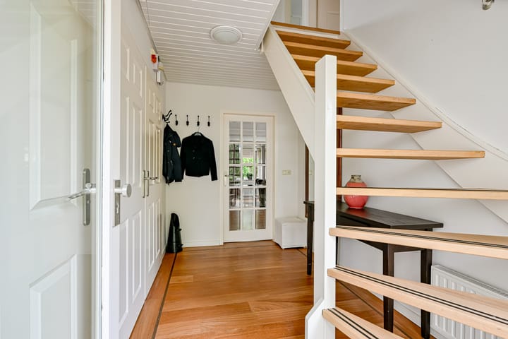 Foto 6 van Tureluur 5