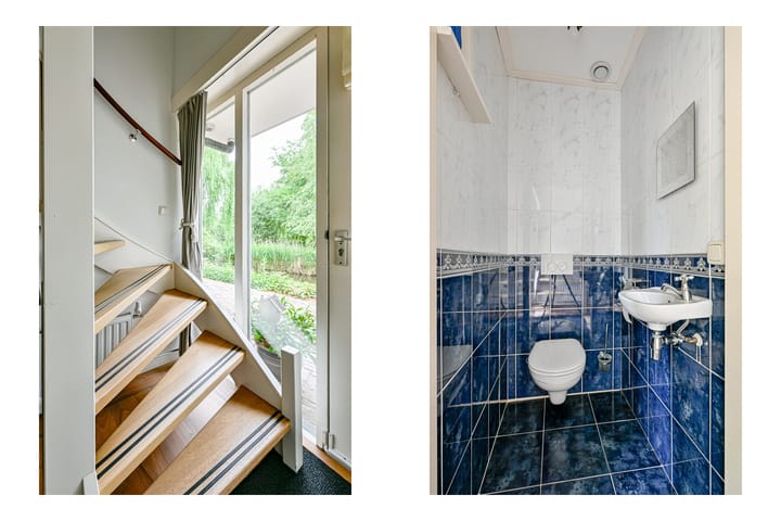 Foto 17 van Tureluur 5