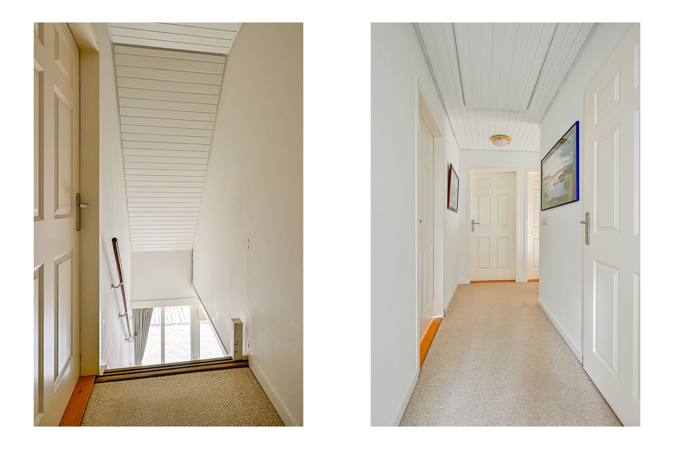 Foto 18 van Tureluur 5