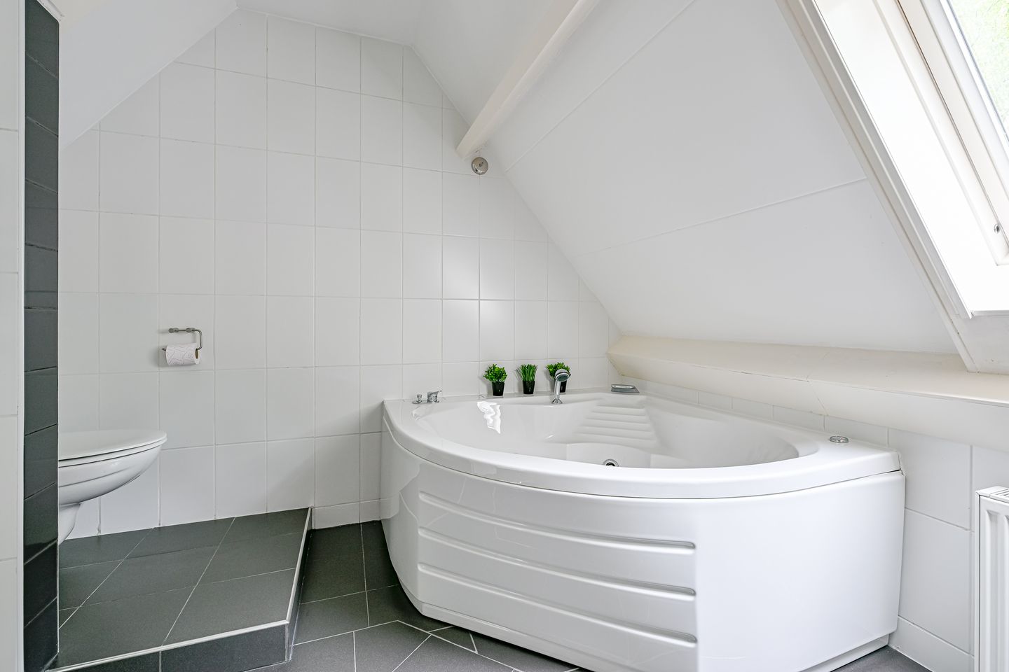 Foto 25 van Tureluur 5