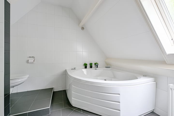 Foto 25 van Tureluur 5