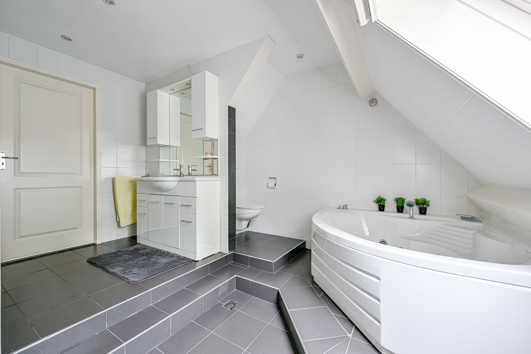 Foto 27 van Tureluur 5