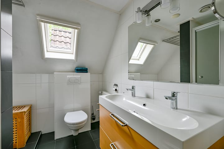 Foto 32 van Tureluur 5