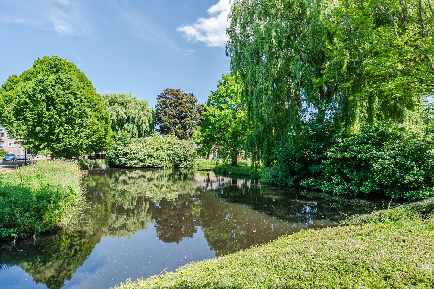 Foto 40 van Kwikstaart 15