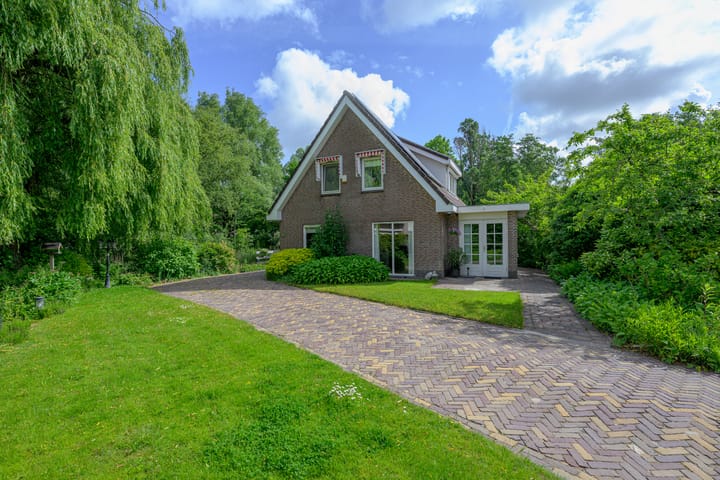 Foto 4 van Tureluur 5