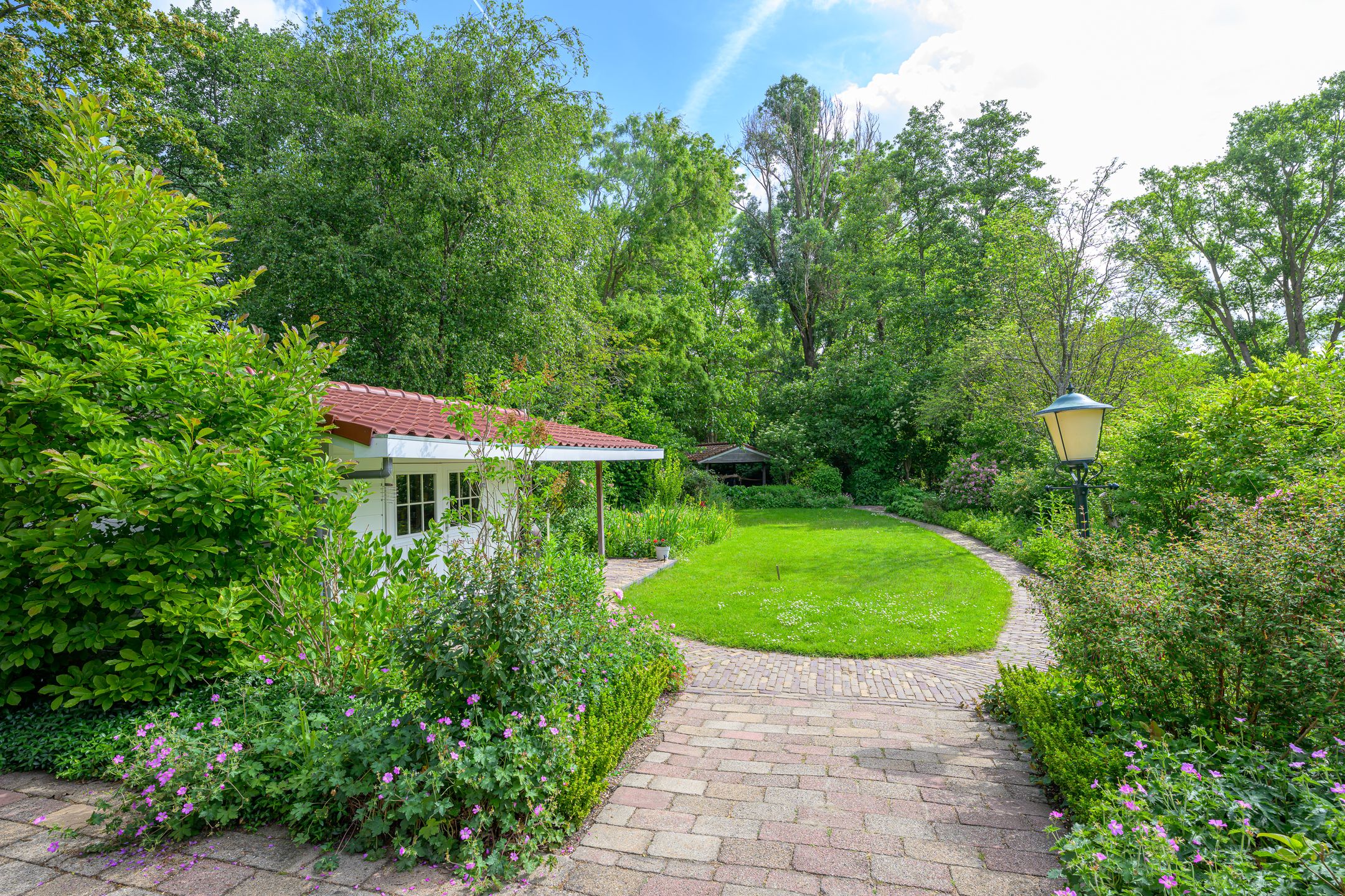 Foto 42 van Tureluur 5