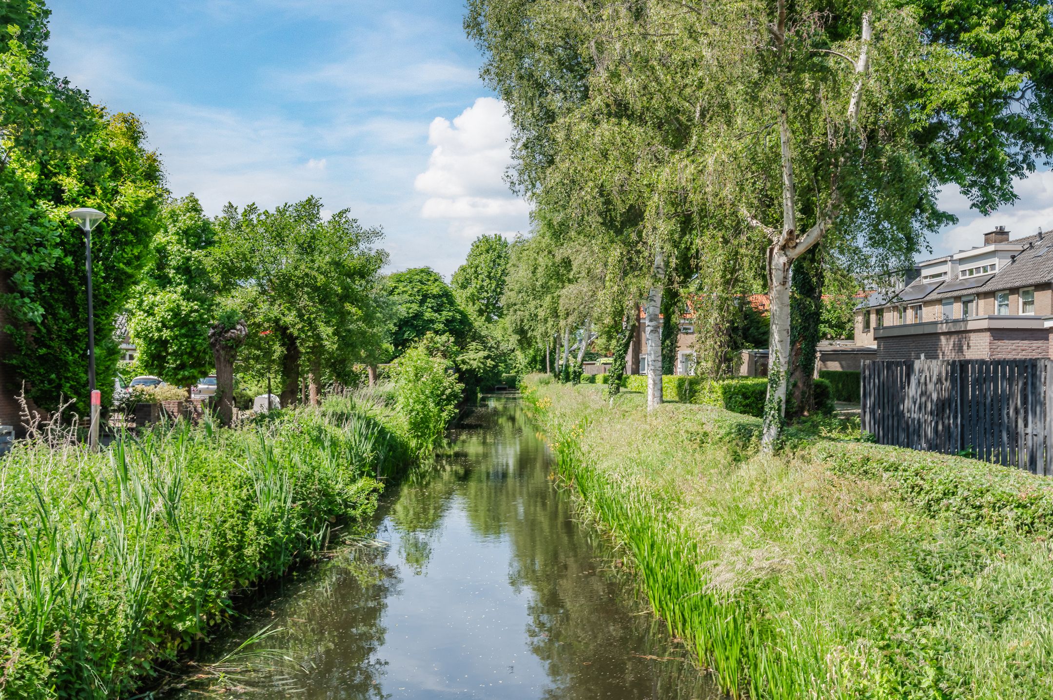 Foto 39 van Kwikstaart 15