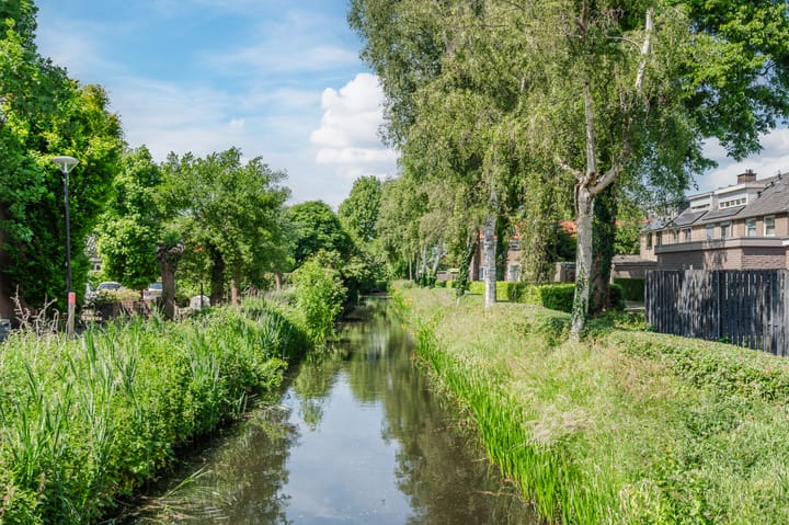 Foto 39 van Kwikstaart 15