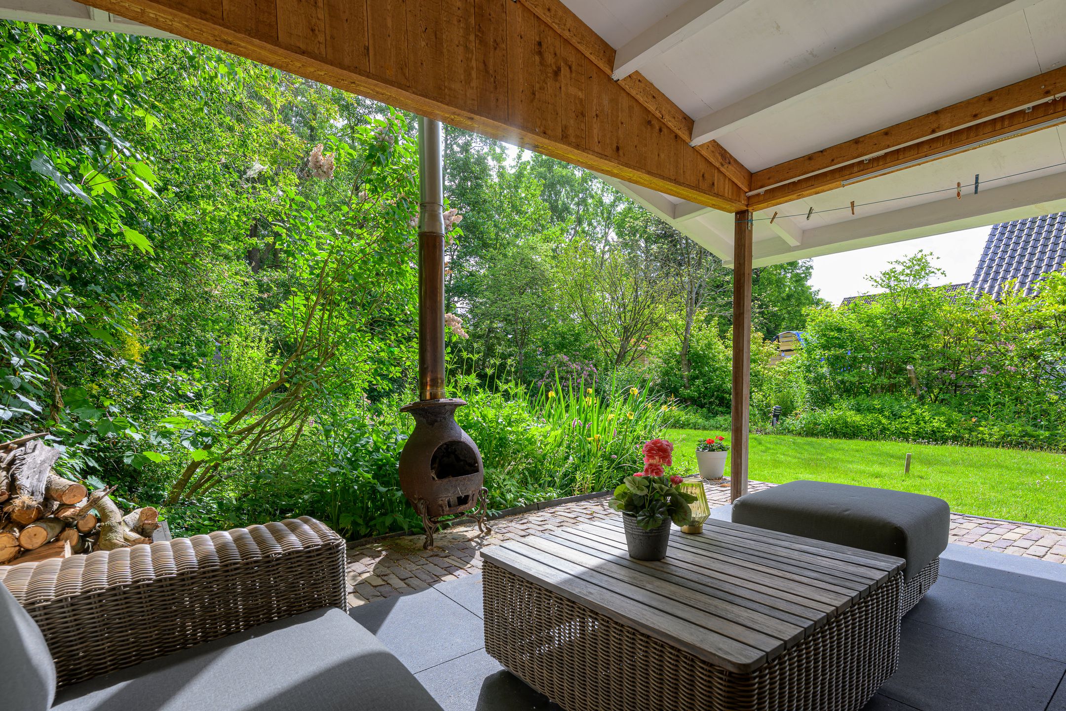 Foto 45 van Tureluur 5