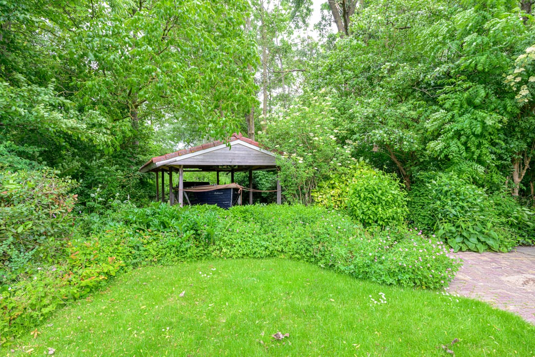 Foto 46 van Tureluur 5