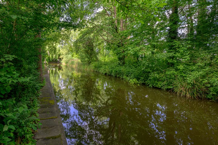 Foto 49 van Tureluur 5