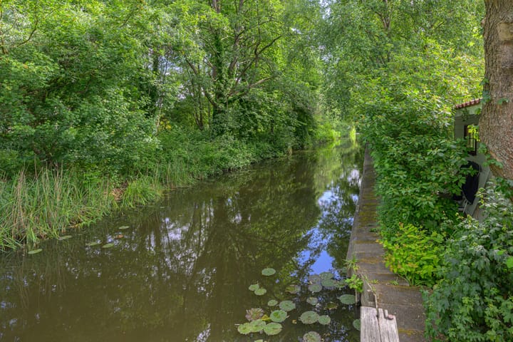 Foto 50 van Tureluur 5