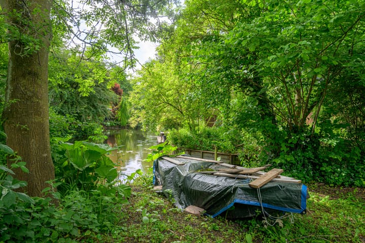 Foto 51 van Tureluur 5