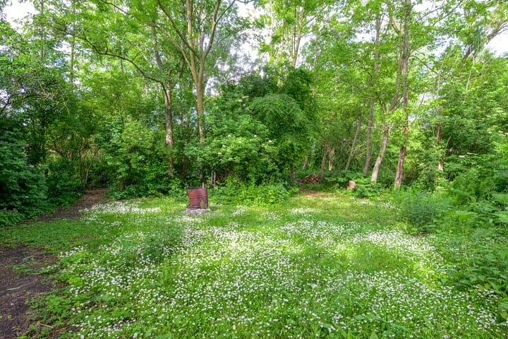 Foto 52 van Tureluur 5