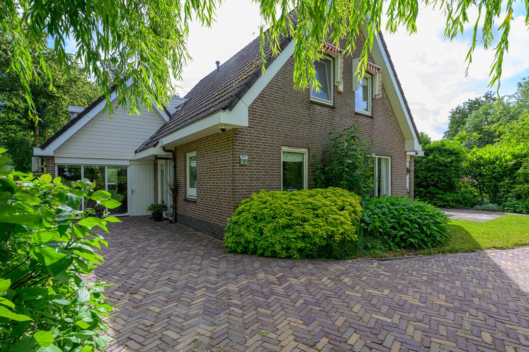 Foto 53 van Tureluur 5