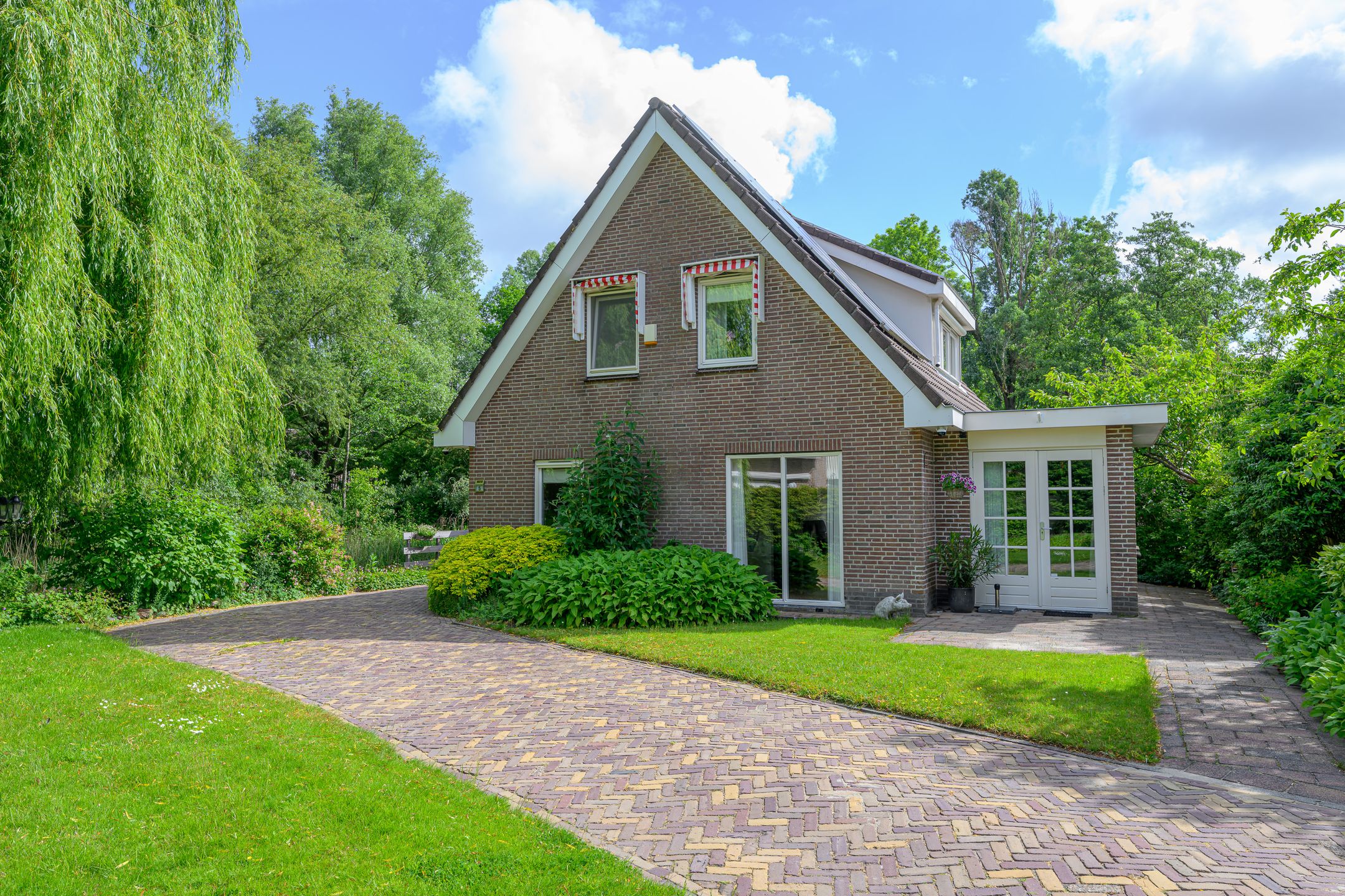 Foto 54 van Tureluur 5