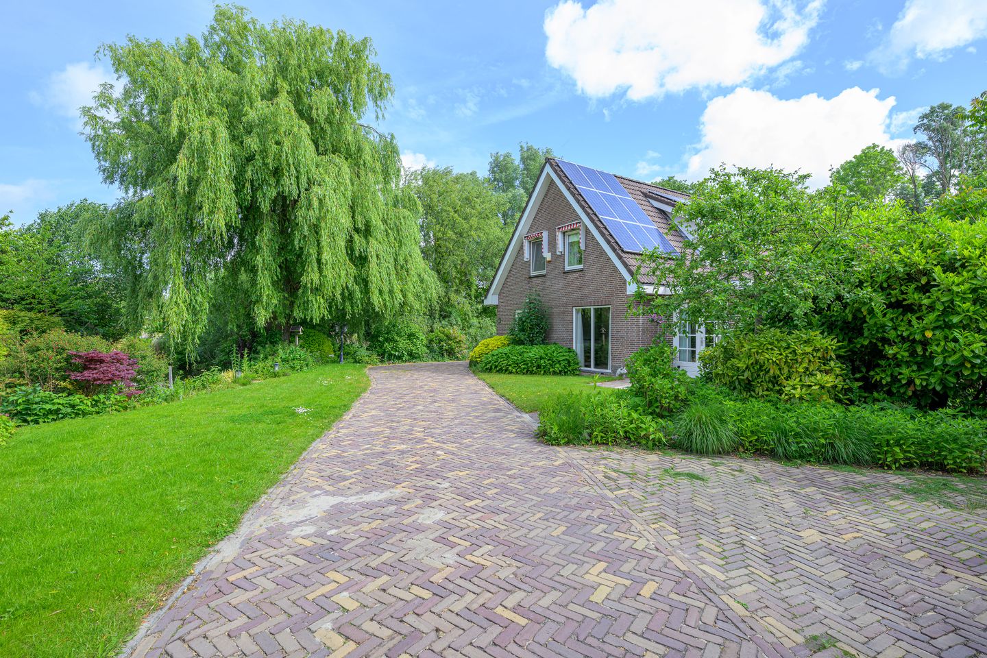 Foto 55 van Tureluur 5