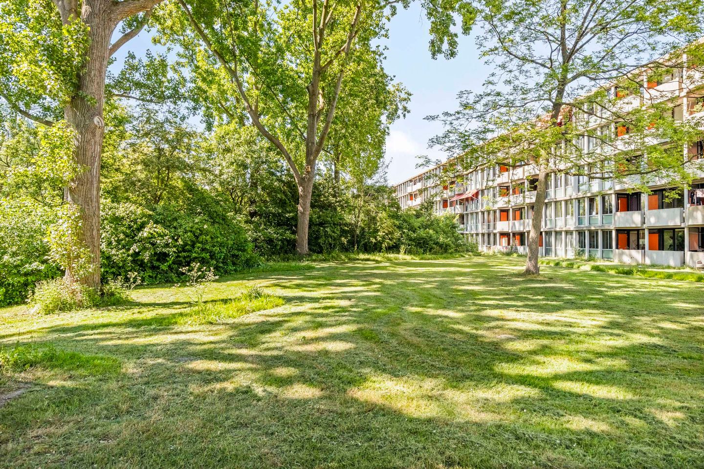 Foto 20 van Het Hoogt 176