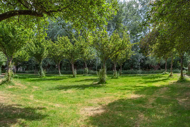 Photo 32 of Liemers 8