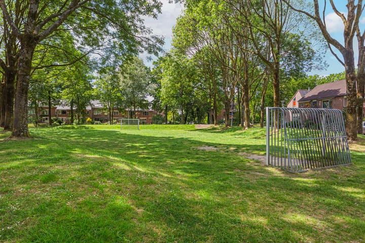 Photo 33 of Liemers 8