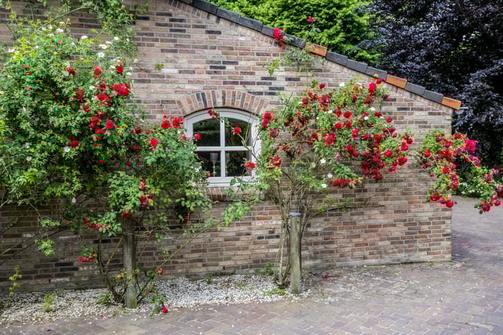 Foto 48 van Drieseegt 1