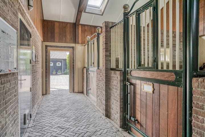 Foto 50 van Drieseegt 1