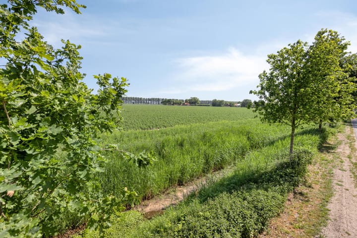 Photo 55 of Sara Beytsweg 6