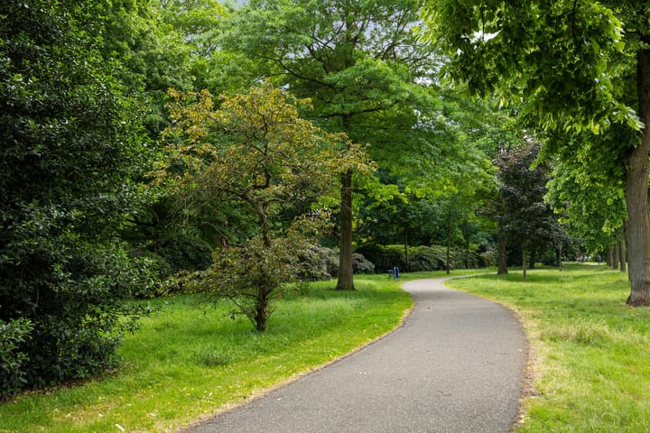 Foto 35 van Frederik Hendriklaan 141