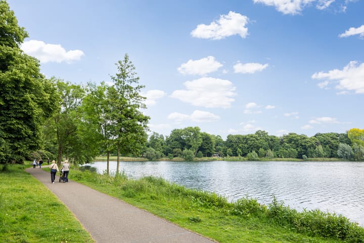 Foto 36 van Frederik Hendriklaan 141