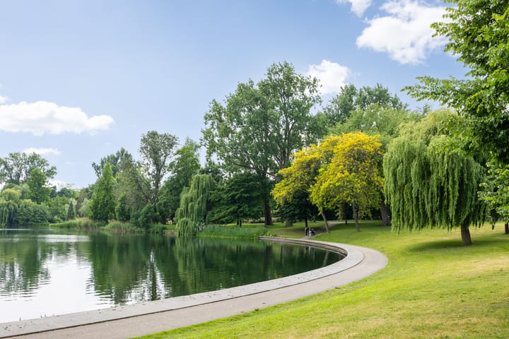 Foto 38 van Frederik Hendriklaan 141