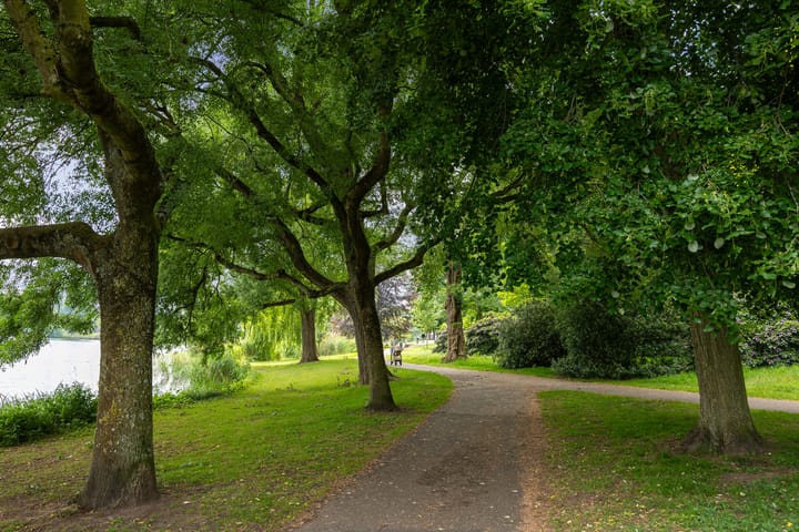 Foto 37 van Frederik Hendriklaan 141