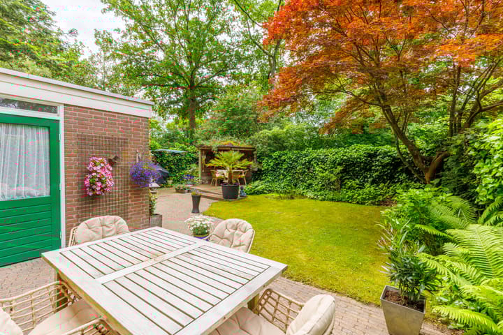 Foto 3 van Berkenoord 49