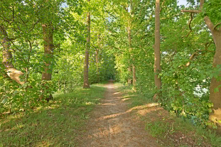 Photo 30 of Frederik Hendriklaan 12