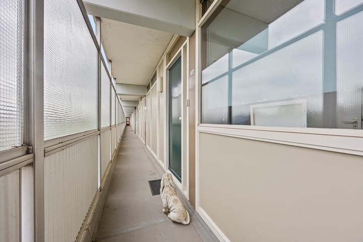 Foto 15 van Adelbert van Scharnlaan F 54