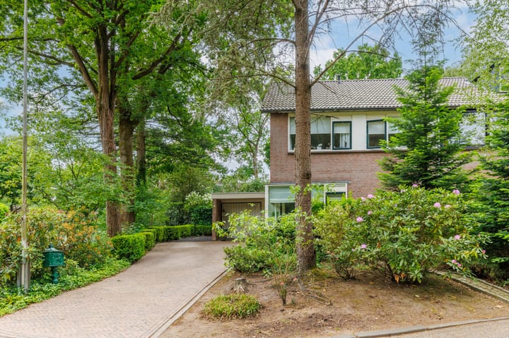 Foto 22 van Berkenoord 49