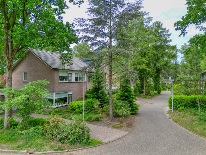 Foto 26 van Berkenoord 49