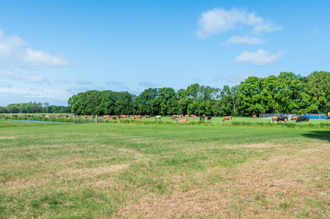 Foto 32 van Papelaan-West 224