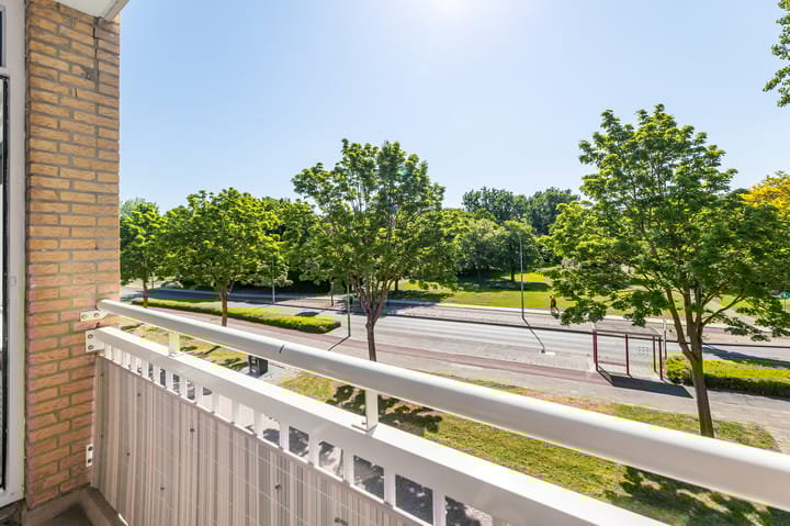 Foto 12 van Statenlaan 52