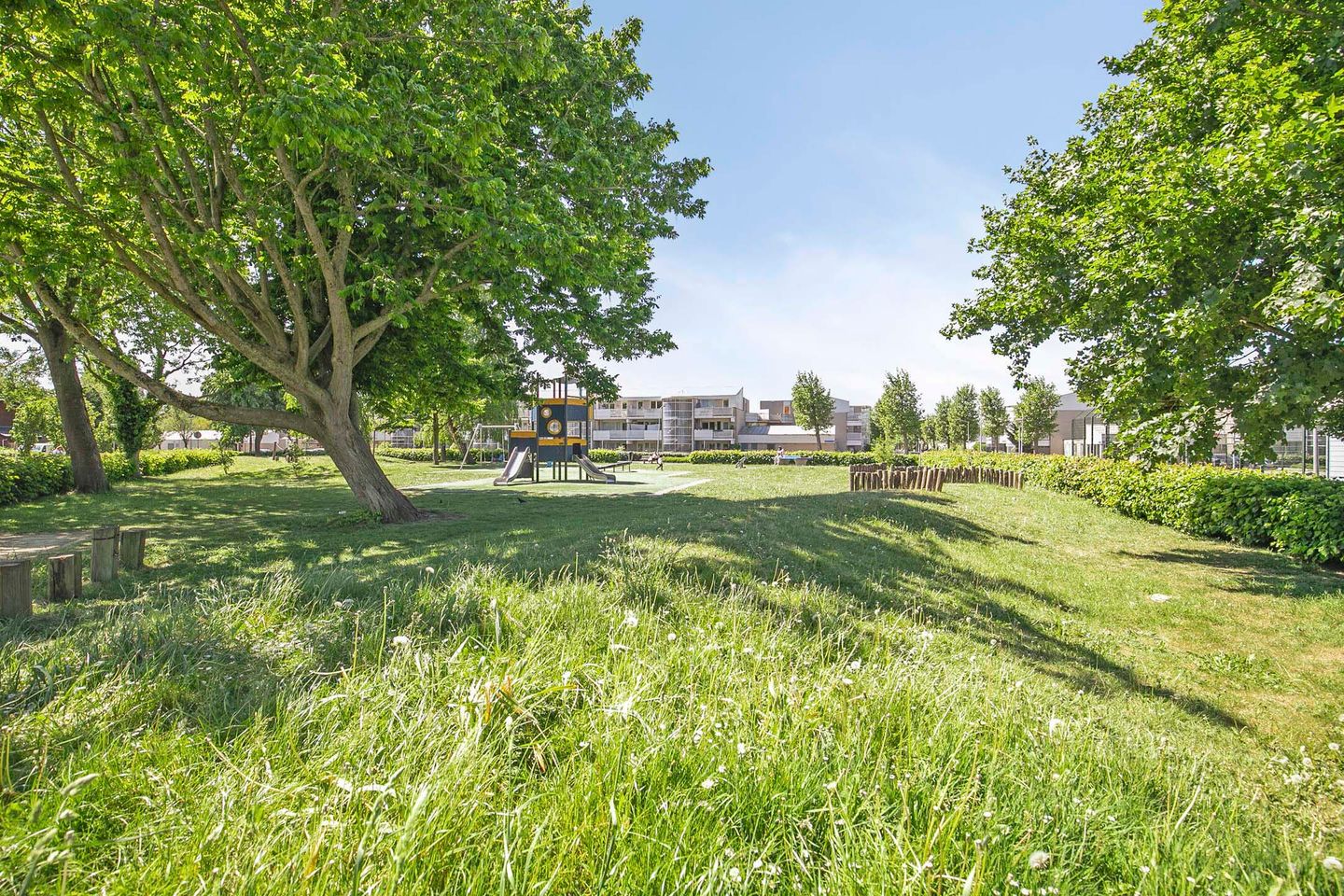 Foto 29 van Basilicumweg 317