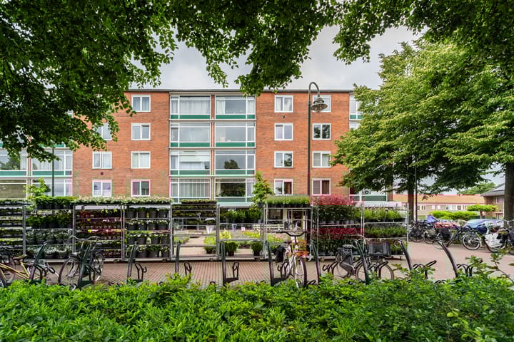 Foto 2 van Laarderweg 236-II