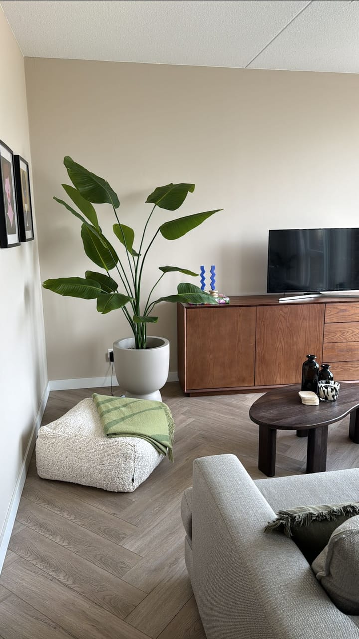 Foto 3 van Adolphine Kokplein 19