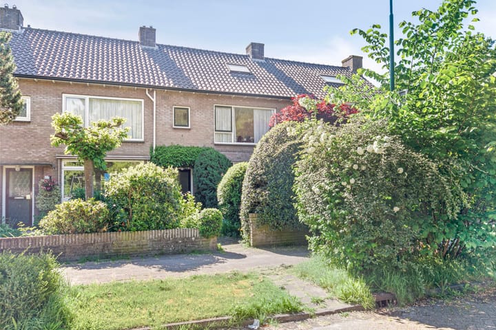 undefined main image