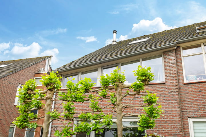 Photo 69 of 't Boogstuk 27